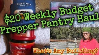 $30 Budget Prepper Pantry Haul/Amy Building Sheds for Winter/#prepperpantry