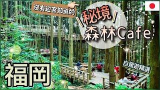 Amazing forest café in Japan | Japan Bucket List