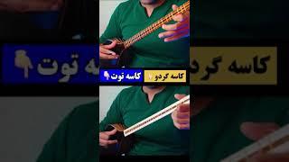 کدوم رو میپسندی؟ #سهتار #موسیقی #music #ساز #setar #سنتور #موسیقیایرانی