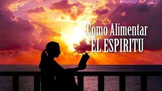 Como Alimentar EL ALMA - Motivación Para El Alma