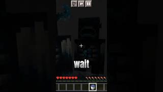 bruh moment || Minecraft