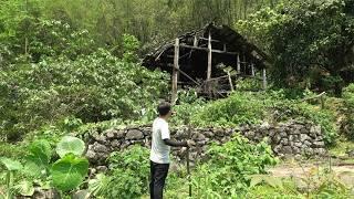 Bored of Hustle Life ~ Man Leaving City Renovated Old House in the Mountains and Lived Free Life