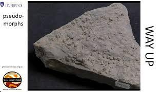 Pseudomorphs - a sedimentary structure to indicate way-up (younging) direction in a rock sequence