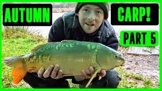 Autumn Carp Fishing - Part 5 - Bagging Up! 