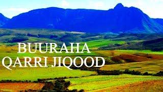 Qarri Jiqood Intro Video