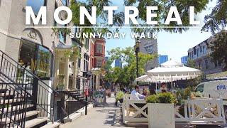 MONTREAL Quebec Canada: Sunny Stroll Through Downtown Montreal [4K] #montreal