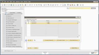 Bin Locations in SAP Business One 9.0
