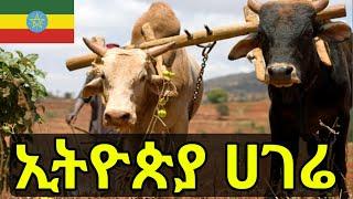 Ethiopia | ኢትዮጵያ ሀገሬን ያለ ሁሉ ሊያየው የሚገባ ቪዲዮ | Addis Guday አዲስ ጉዳይ