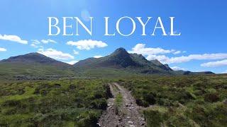 Ben Loyal