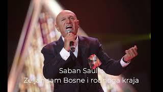 Šaban Šaulić - Željan sam Bosne i rodnoga kraja ( Vrati se kuci pise babo stari )