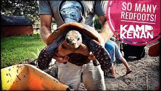 Redfoot Tortoise Habitat Tutorial