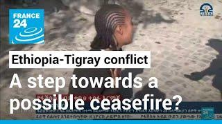 Tigray forces withdraw from neighbouring Ethiopian regions • FRANCE 24 English