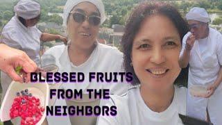 FRUITS FOR FREE || Lux, EU || have a safe trip || ADVENTURE