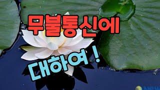 #무불통신과 자연통신은 무엇인가 ,,,