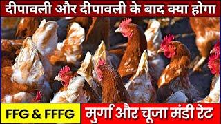 Murga mandi rate today, Poultry rate today, Aaj ka thok murga mandi rate, Murga mandi rate today up