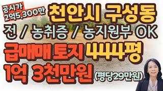 [토지/매매] 천안시 동남구 구성동 공시지가이하토지 급매매 / 총 444평 /진입로 있음/농지원부 ,농지연금/럭셔리정TV  010-3614-8347