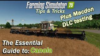 The Essential Guide to Canola in Farming Simulator 25