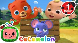 Peek-a-Boo Fun with JJ, Boba, Mimi & Tori!  | Hide-and-Seek Adventure! | Cartoons for Kids