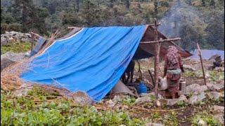 Organic Himalayan Nepali Village Life in the Nepal | Most Peaceful And Relaxing Village Life |