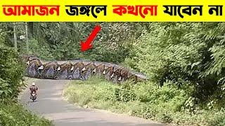 আমাজন জঙ্গলের এই রহস্য দেখে বিজ্ঞানীরাও হতবাক | Mystery of Amazon Rainforest