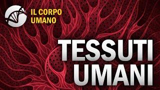 Tessuti Umani - Il Corpo Umano