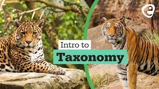 Introduction to Taxonomy