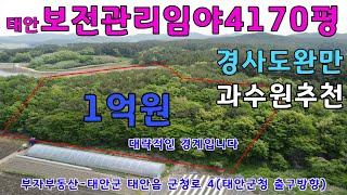 [물건번호 318번]보전관리지역 4170평 임야 입니다. 완만한 경사도로 과수원 추천드립니다. 공시가 수준으로 매매합니다