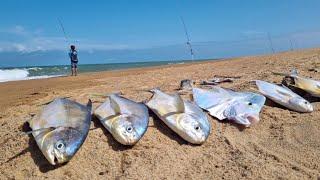 PESCA DE PRAIA usando ISCA NATURAL com ATRATIVOS flutuantes!!! PESCAMOS e COMEMOS - catch and cook.