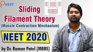 Sliding filament theory (Muscle contraction mechanism) | ATP STAR | by Dr. Raman Patel sir