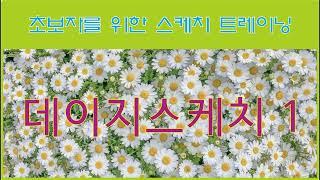 꽃 그리기-데이지(daisy) 스케치 기초1