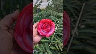 Rose with tissuepaper️ #art #artwork #artandcraft #arte #diy #diycrafts #craft #craftideas #shorts