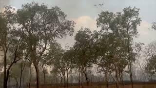 Limmen NP from Mataranka - Roper Bar - Borroloola, NT