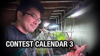 Aquascaping Contest Calendar Part 3: Early Husbandry and Equipment Setup Overview