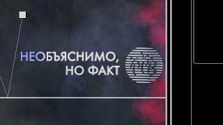 Видео. Задание №3. Ибрагимов Антон, Шишко Олеся. Ульяновская область