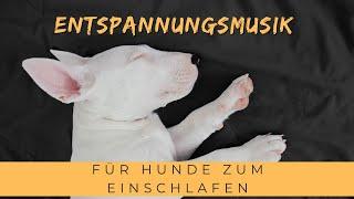 Entspannungsmusik für Hunde zum Einschlafen - Beruhigende Schlafmusik für Hunde