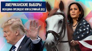 Интрига американских выборов: женщина-президент или безумный дед - кто будущий президент США?