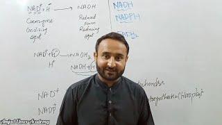 NAD+, NADH, NADH2 NADP+, NADPH, FADH2 Differences | An Important Querry | Amjad Umer Academy