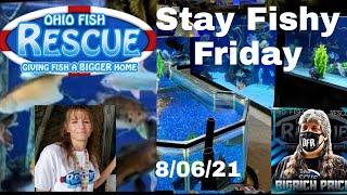 Stay Fishy Friday Livestream ,  tracy update,  big news 08/06//21