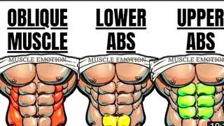 6 Pack Abs Workout for Beginner