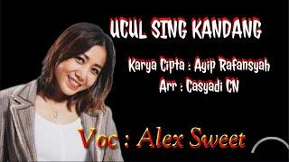 Alex Sweet | Ucul Sing Kandang | Tarling [Official Video Lyric]