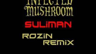 Infected Mushroom Suliman Rozin Remix