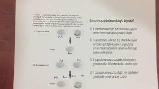 Şırnak il milli eğitim 8.sınıf 3.online LGS FEN bilimleri 16.soru