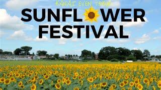 Kiyose Sunflower Festival 2016 | 清瀬ひまわりフェスティバル2016 | Kanai even Tokyo