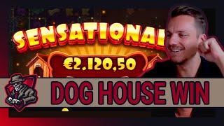 DOG HOUSE  | Schöne Sonntags Session für die Fans  | Freegames High Stakes  | Casino Highlights