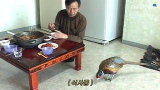 A wild pheasant living in a house?! We eat together while following the uncle.