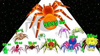 Insect Spider Evolution run - Level Up Insect Max Level Gameplay (Spider Evolution run)