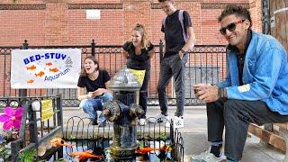 New York City's Controversial Fire Hydrant Fish Pond