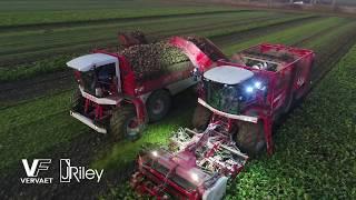 Vervaet Beet Eater chaser and Beet Eater 925 (9-row) harvester