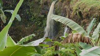 Kemuning - Ngargoyoso Karanganyar (Jawa Tengah )