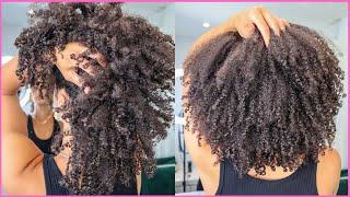 SHINLGING Vs RAKING WASH & GO TECHNIQUES | Natural Hair | AbbieCurls